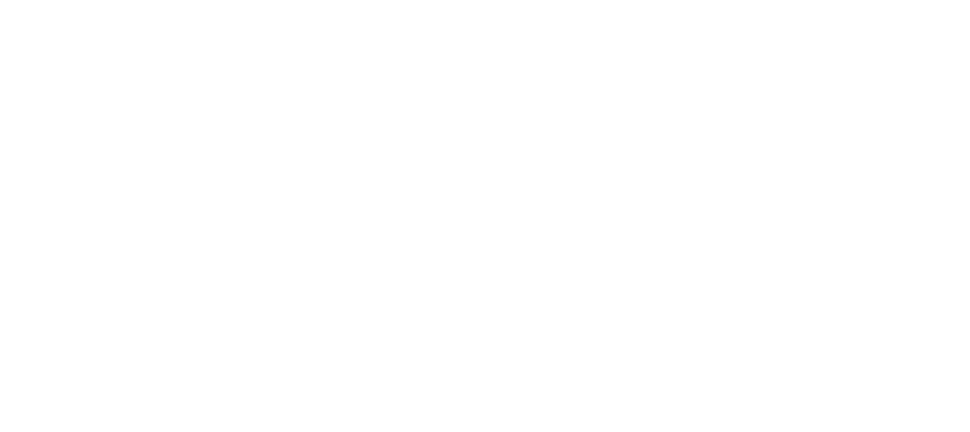Organiza Eliza